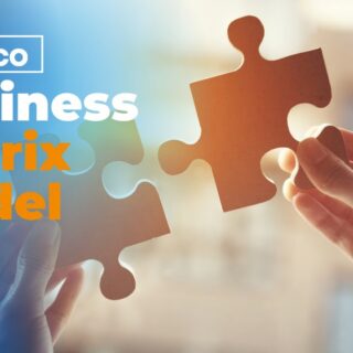business matrix model 1